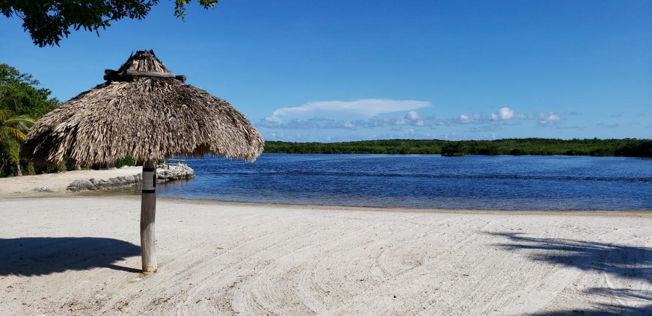 Tiny House Rv, Kayak Hotell Key Largo Eksteriør bilde