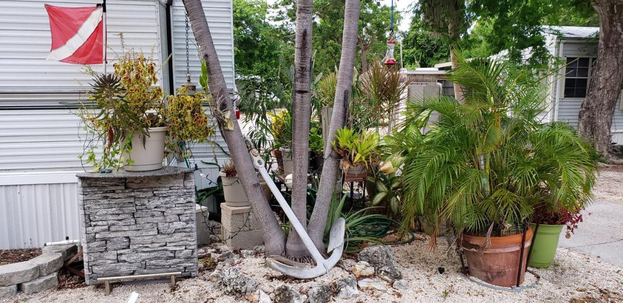 Tiny House Rv, Kayak Hotell Key Largo Eksteriør bilde